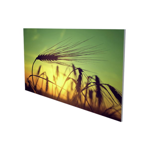 Technotherm Infrarotheizung MK